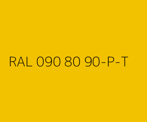 Couleur RAL 090 80 90-P-T 