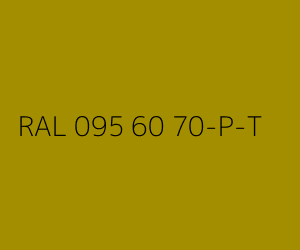Couleur RAL 095 60 70-P-T 
