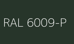 Couleur RAL 6009-P