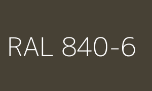 Couleur RAL 840-6